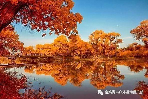 超黄金街霸4